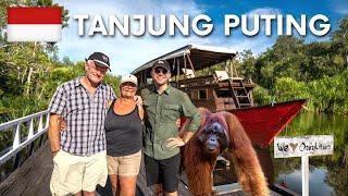 Tanjung Puting Borneo - The Orangutan BUCKET LIST Tour (4 days)