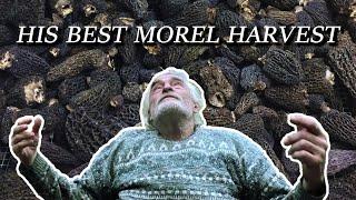 Finding the Morel Patch of a Lifetime | The Swede Creek Story