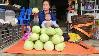 14-Year-Old Single Mother - Harvesting Melons to Go to the Market to Sell - Cooking - Raise Children