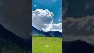 Galai meadow Allai valley kpk Pakistan | Beautiful Galai Meadow #shorts