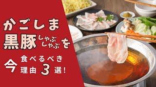 【ふるさと納税】2024年のおすすめ返礼品は鹿児島黒豚なんです！