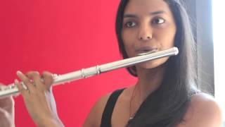 Pirates of the Caribbean Theme - Flute Cover