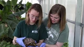 Dalton State College Bachelor of Science in Biology