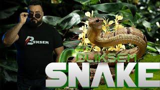 BLIKSEM BERGIGO - SNAKE (EXCLUSIVE Music Video)