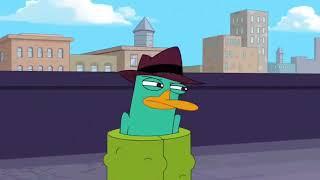 A Platypus? PERRY THE PLATYPUS! compilation