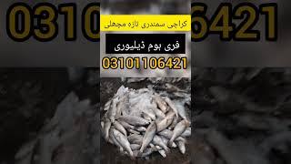 karachi fish market | fresh machhli | fish online