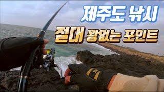 제주도낚시 꽝안칠려면 여기로 가라(사계절가능) 영락리 포인트! 신도방파제 수중영상까지! I'll tell you where to fish.