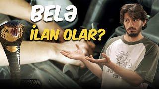 Ay Millət, Belə İlan Olar?