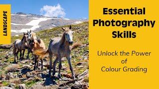 Unlock the Power of Colour Grading in Landscape Photography