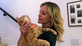 Crazy Cat Lady: the Feral Cat Crisis in Los Angeles