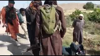 لحظه گشتن نیروی های امنیتی افغان توسط طالبان 