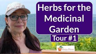 Herbs for the Medicinal Garden:  Garden Tour #1