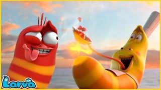 LARVA | MASTER CHEF | CARTOON MOVIE FOR LIFE |THE BEST OF CARTOON | HILARIOUS CARTOON COMPILATION