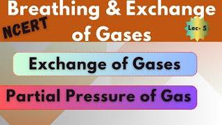 Exchange of Gases l Respiratory System l Human Physiology l Bio Pathshala l Lec-5
