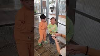 이루와 사촌 형