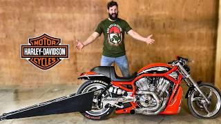 I Bought the Fastest Harley Davidson Ever Made