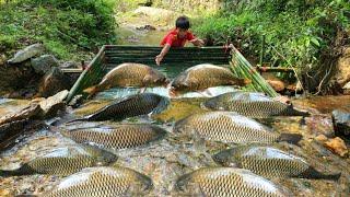 How to trap fish using the ancient method. The boy Lam caught many big fish in the trap.