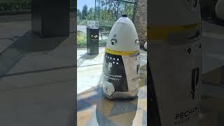 Public safety #robot #robots #security