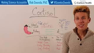 What is Cortisol?