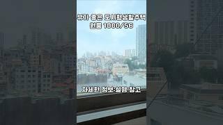 [서울대입구역원룸] 오피스텔식 도시형생활주택 전망좋은 방 #서울원룸