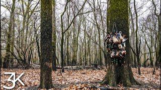 Arkansas Public Land  |  Cloudy Day On The Oxbow