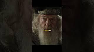 У Дамблдора пропускает/Озвучка DL STUDIO #shorts  #harrypotter #shortsvideo #интервью