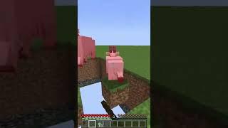 The cleanest Minecraft music loop ever  #shorts