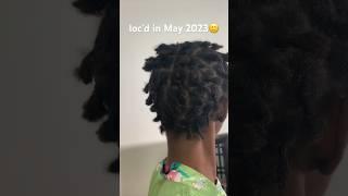 starter loc journey so far ‍️#locjourney #locs #hairgrowthoil #4chair #naturalhair