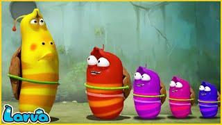 LARVA | Rainbow Squad | CARTOON MOVIE FOR LIFE |THE BEST OF CARTOON | HILARIOUS CARTOON COMPILATION