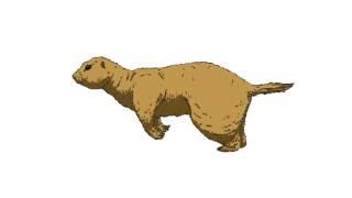 3 Frame Animation (Prairie dog)