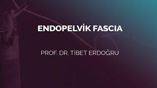 Endopelvik Fascia