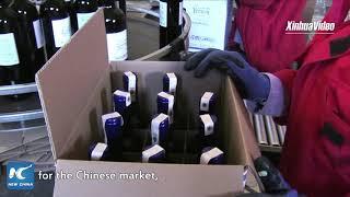 We have an enormous interest in the Chinese market: Moroccan winery