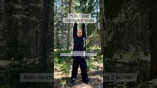 QiGong 8 Brocade #taichi #taiji #healthy #qigong #qi #healthy #health￼ #relaxing #relax ￼￼