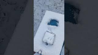 Пчелиная семья с расплодом КАК ВЫЖИВАЕТ В МОРОЗ И БЕРЁТ ЛИ ОНА КОРМА ️