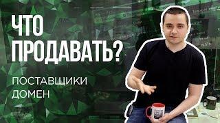 #2 Выбор ниши, что продавать в интернет магазине. Поставщики. Покупаем домен
