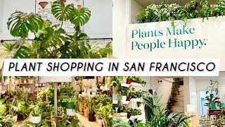 PLANT SHOP CRAWL in SAN FRANCISCO, CA 🪴Petite Monstera, The Sill, Trader Joe’s houseplants