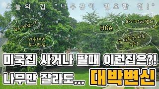 이런집을 만난다면~ll 나무제거 완전 변신 ll 나무제거팁 || tree removal || trimming || grinding || hoa || 아틀란타부동산 || 조지아부동산