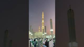 Masjid E Nabawi (SAW)|Madina#islamicvideo #umrah#shorts