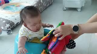 책읽는 아기 +128일 아기코끼리 코야 헝겊책