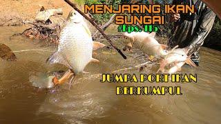 Menjaring & Menghalau Ikan I Eps 115