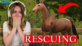 SAVING HORSES FROM AUCTION! - Sims 4 Horse Ranch | Pinehaven