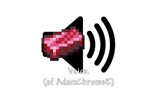 Voice. (AdamChromeE voice reveal & QnA)