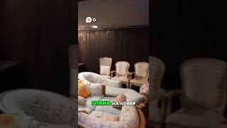 Дед впервые в гостях у IFBB PRO