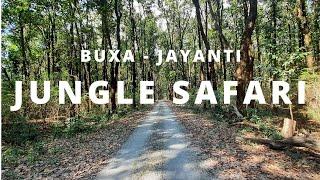 Jungle safari at Buxa Tiger Reserve Forest on December 2020