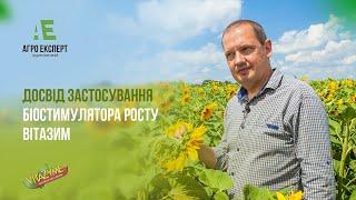 Ділимось Досвідом Застосування Біостимулятора Росту ВІТАЗИМ (Vitazyme) На Полях ДГ Драбівське