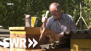 Der Königinnen-Züchter - Leo Famulla und seine sanften Bienen | SWR Mensch Leute