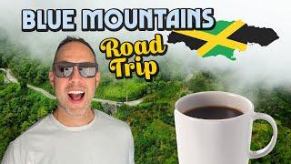 The Most Beautiful Drive in Jamaica! Blue Mountain B1