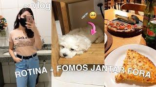 VLOG: ROTINA DO DIA-A-DIA + LEVANDO O FILHOTE PARA VACINAR + JANTAR FORA