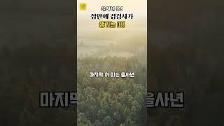 을사년 봄! 집안에 겹경사가 생기는 '띠'  #띠별운세 #풍수 #사주 #운세