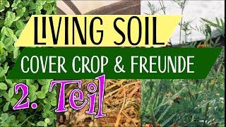 Living Soil | Cover Crop, Begleitpflanzen, Chop & Drop